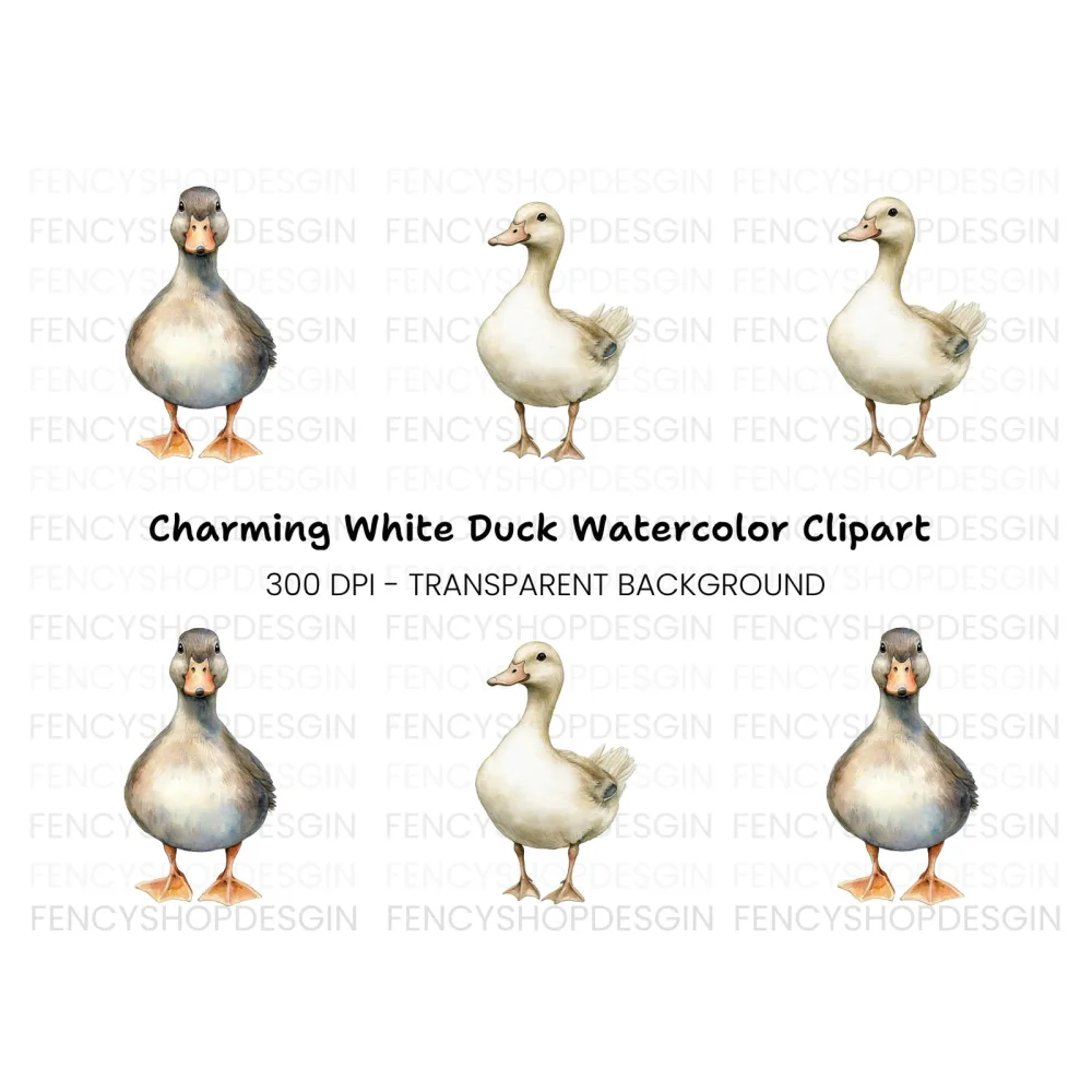 Cute Duck Clipart Bundle