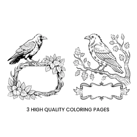 Raven and Crow Coloring Books