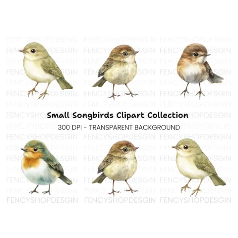 Cute Baby Birds Clipart Bundle