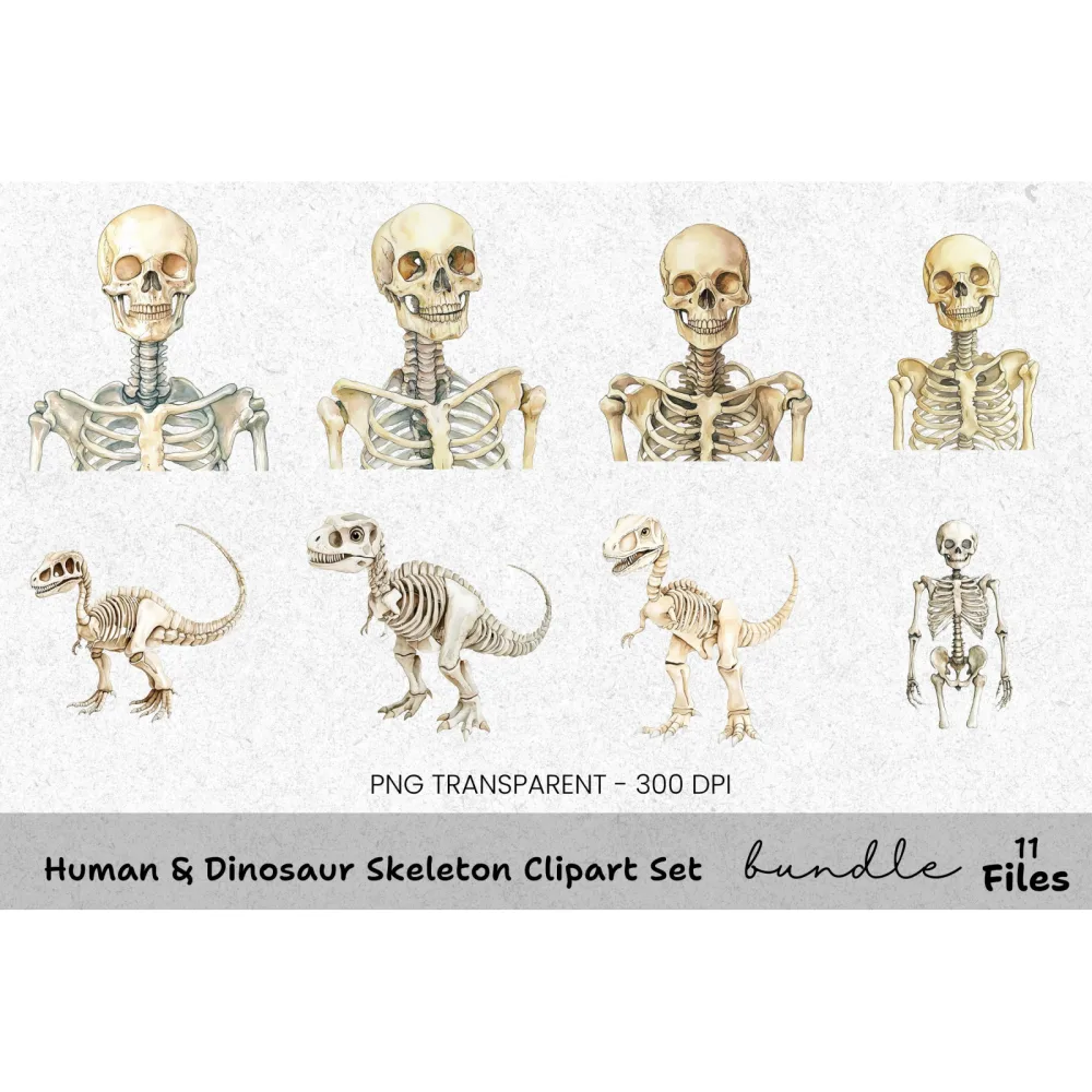Human Dinosaur Skeleton Clipart Bundle