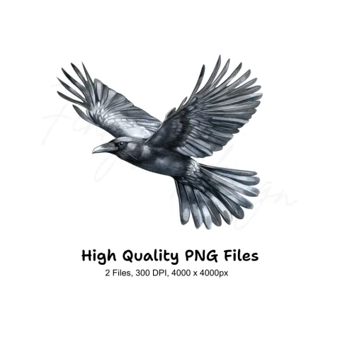 Flying Raven Clipart Bundle