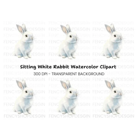 Realistic White Rabbit Clipart Bundle