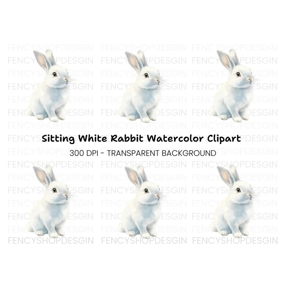 Realistic White Rabbit Clipart Bundle