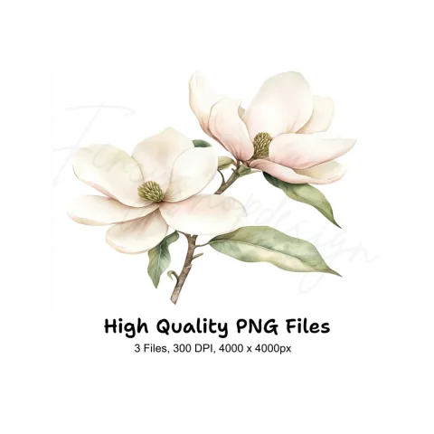 Elegant Magnolia Flower Clipart Bundle