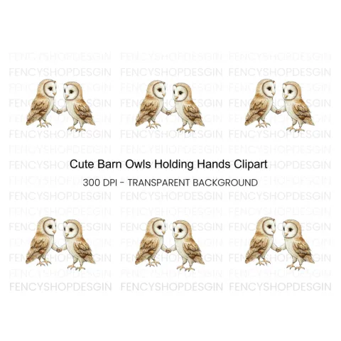 Cute Barn Owls Holding Hands Clipart Bundle
