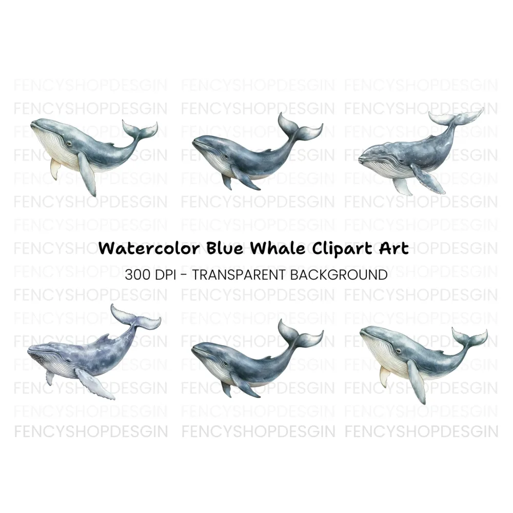 Humpback Whale Clipart Bundle