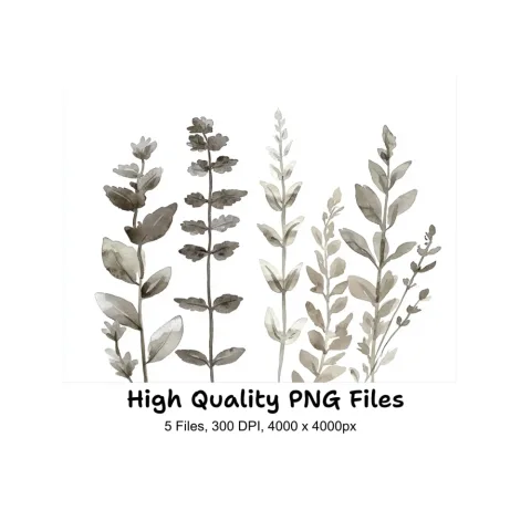 Botanical Clipart Bundle