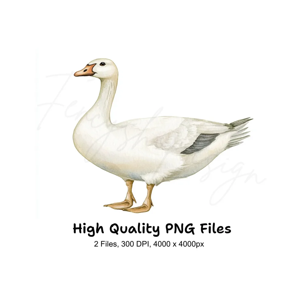 White Geese Clipart Bundle