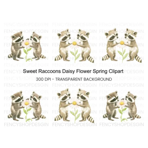 Cute Raccoons with Daisy Clipart Bundle