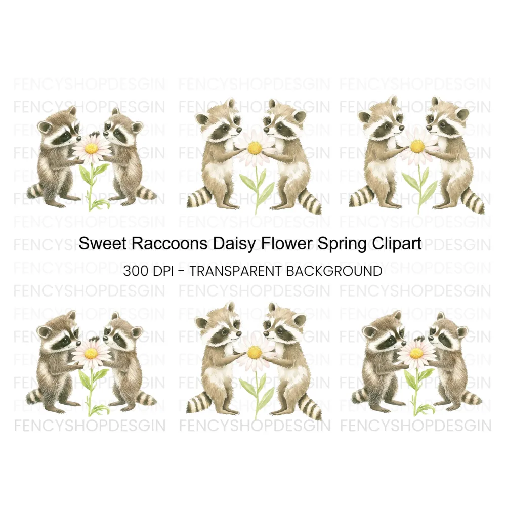 Cute Raccoons with Daisy Clipart Bundle