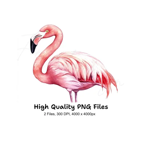 Pink Flamingo Clipart Bundle