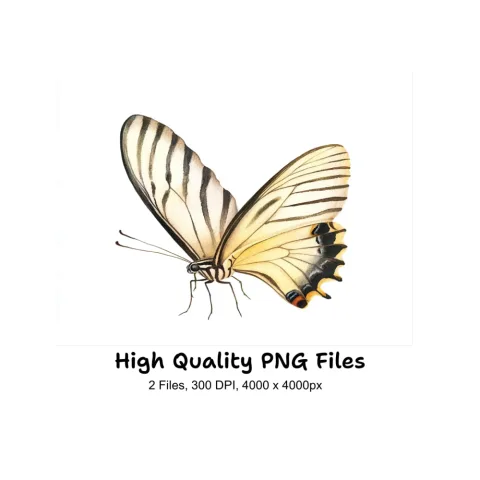Elegant Butterfly Side View Clipart Bundle