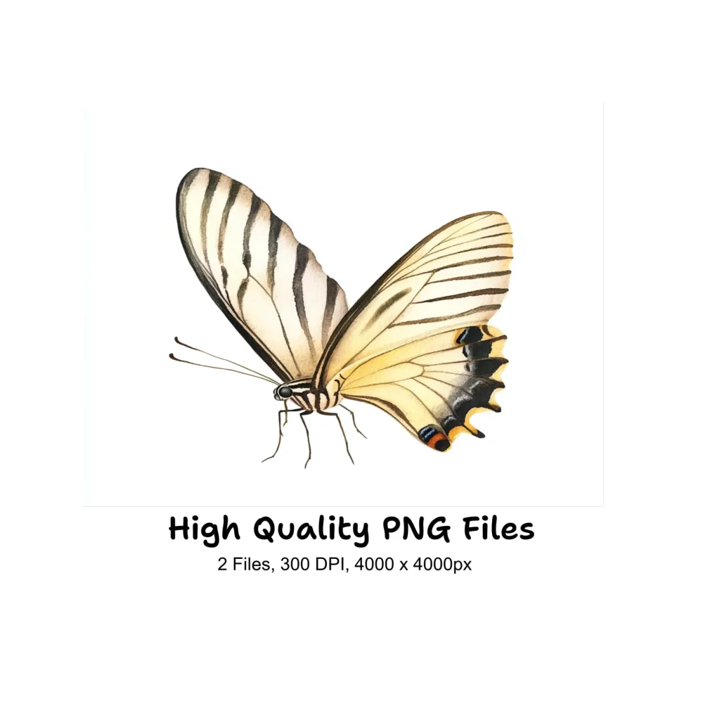 Elegant Butterfly Side View Clipart Bundle
