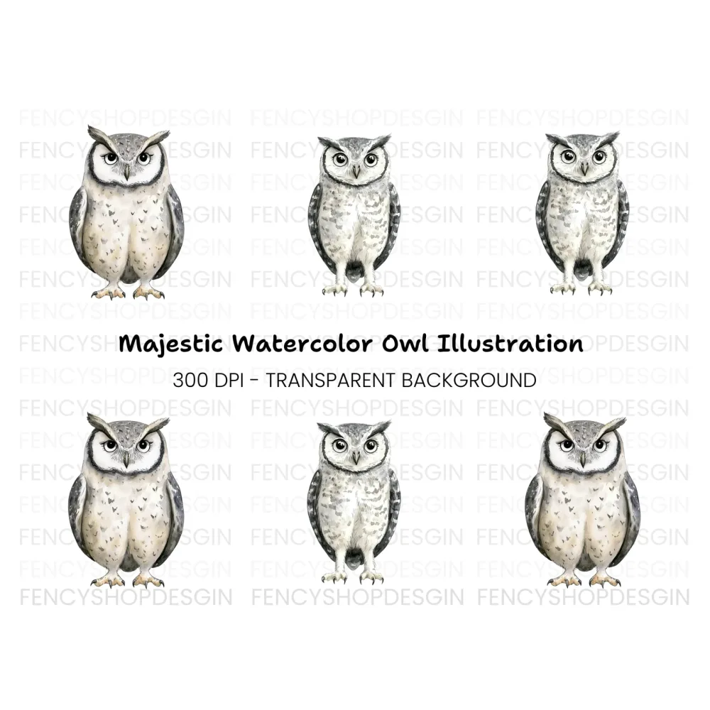 Cute Owl Clipart Bundle