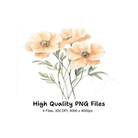 Poppy Clipart Bundle