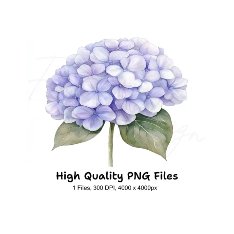 Purple Hydrangea Clipart Bundle