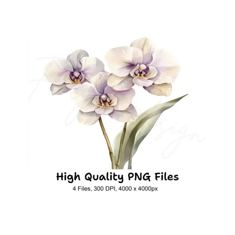 Elegant Orchid Clipart Bundle