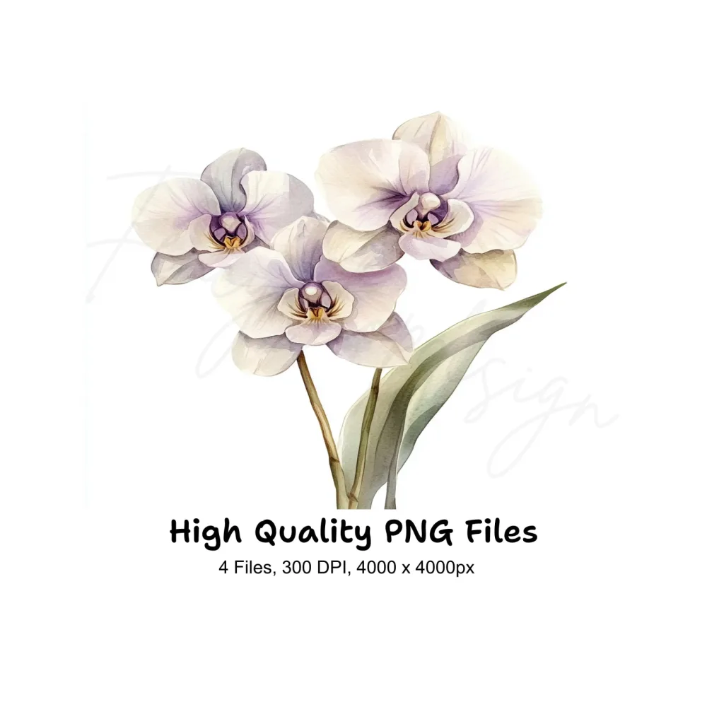Elegant Orchid Clipart Bundle
