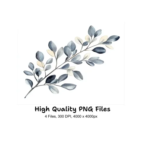 Eucalyptus Branches Clipart Bundle