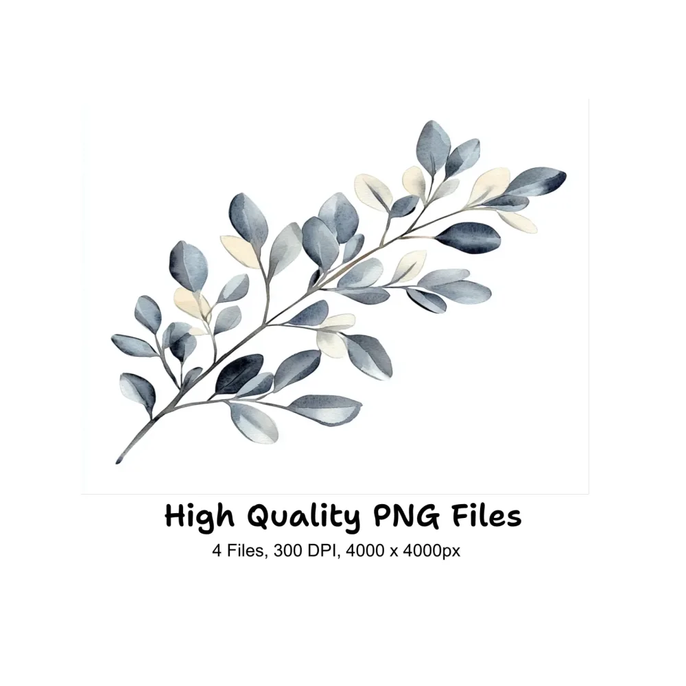 Eucalyptus Branches Clipart Bundle