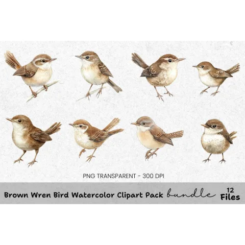 Brown Wren Bird Clipart Bundle