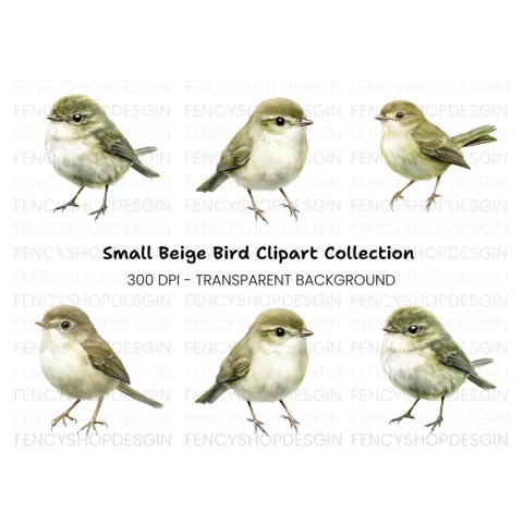Realistic Small Birds Clipart Bundle