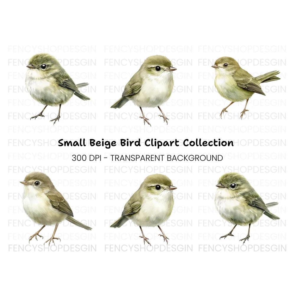 Realistic Small Birds Clipart Bundle