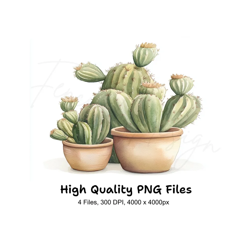 Cactus Clipart Bundle
