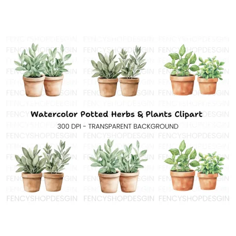 Potted Herbs Clipart Bundle
