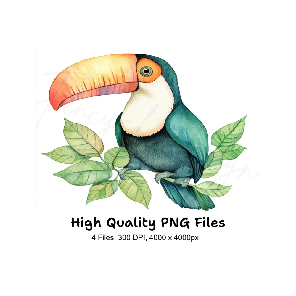 Vibrant Toucan Clipart Bundle