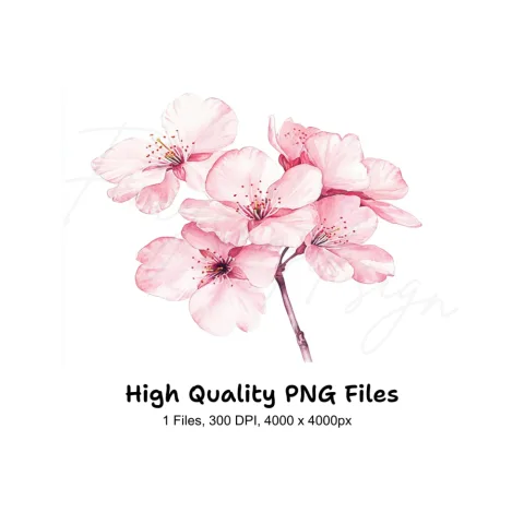 Cherry Blossom Clipart Bundle
