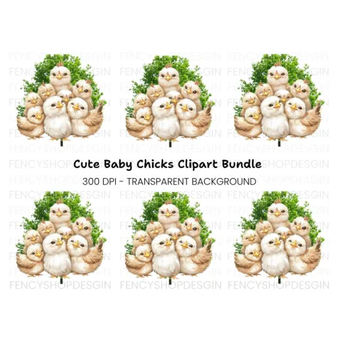 Adorable Baby Chicks Clipart Bundle