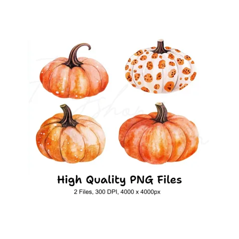 Rustic Fall Pumpkin Leaves Clipart Bundle