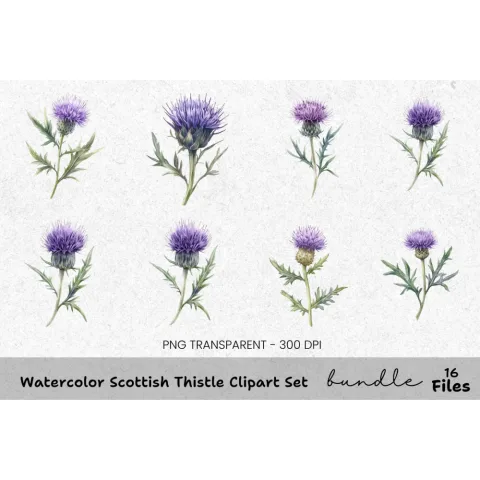 Scottish Thistle Clipart Bundle