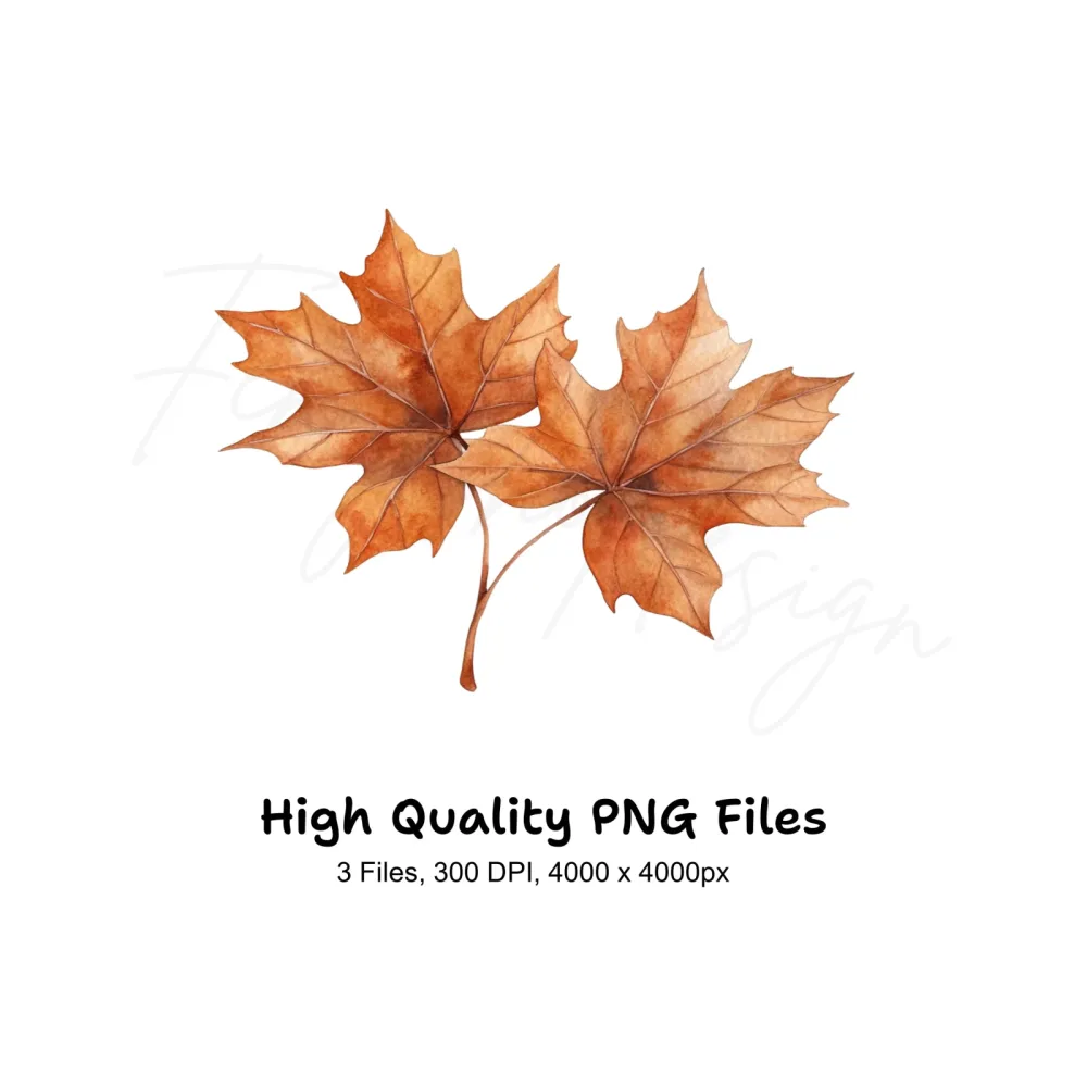 Vibrant Fall Maple Leaves Clipart Bundle