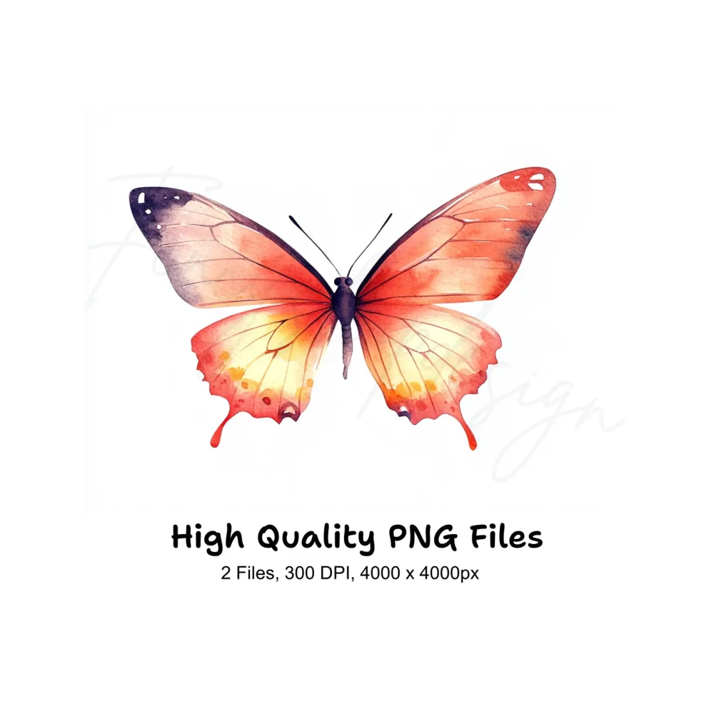 Vibrant Butterfly Clipart Bundle