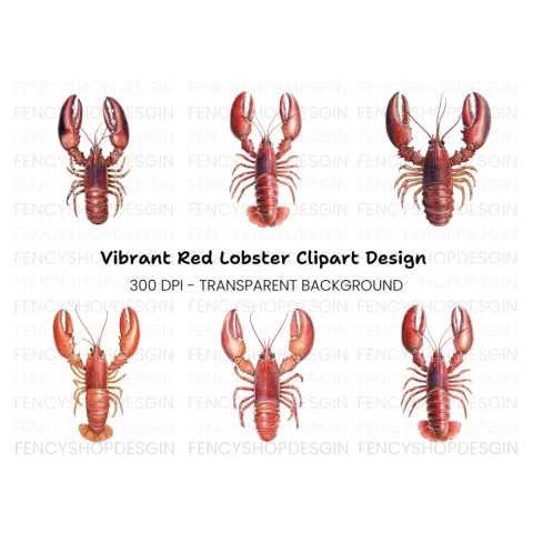 Realistic Red Lobster Clipart Bundle