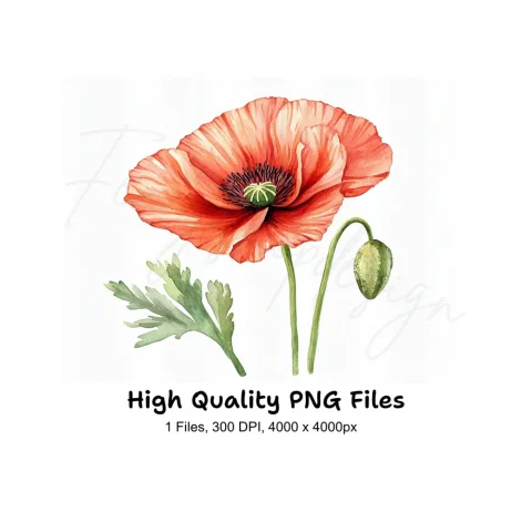 Vibrant Red Poppy Clipart Bundle