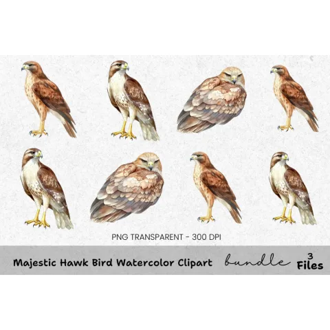 Majestic Hawk Bird Clipart Bundle