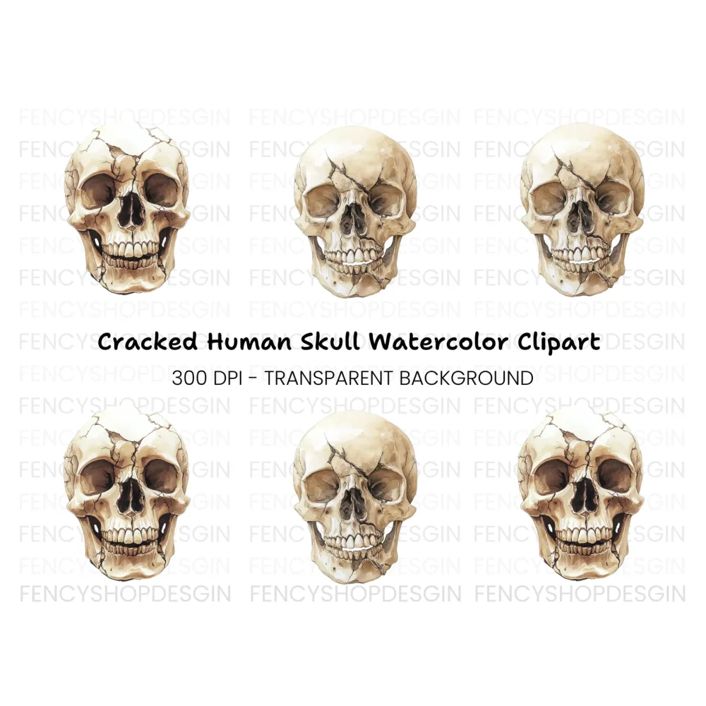 Cracked Human Skull Clipart Bundle