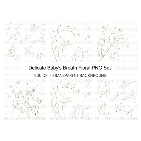 Delicate Baby Breath Clipart Bundle