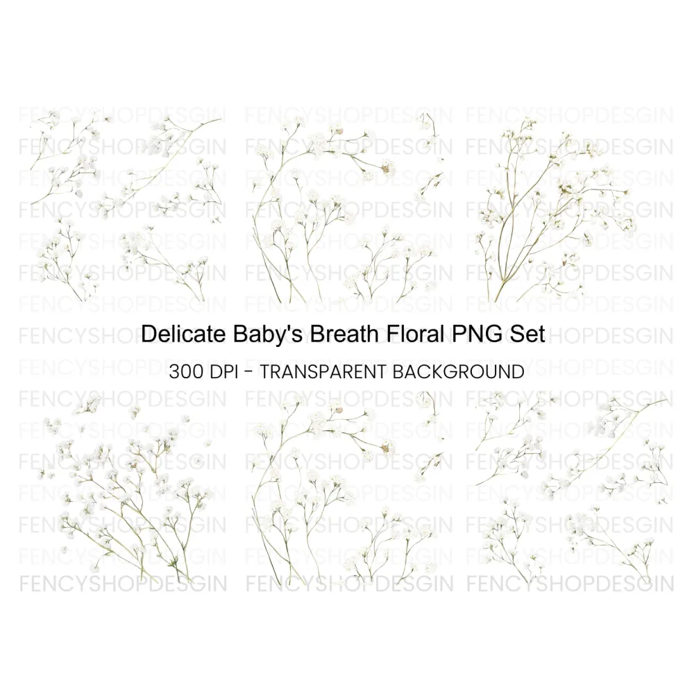 Delicate Baby Breath Clipart Bundle