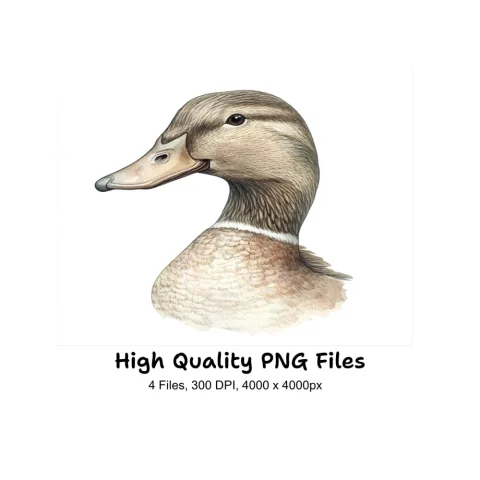 Mallard Duck Head Profile Clipart Bundle