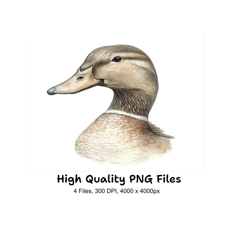 Mallard Duck Head Profile Clipart Bundle