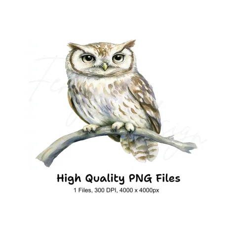 Cute Owl on Branch Clipart Bundle