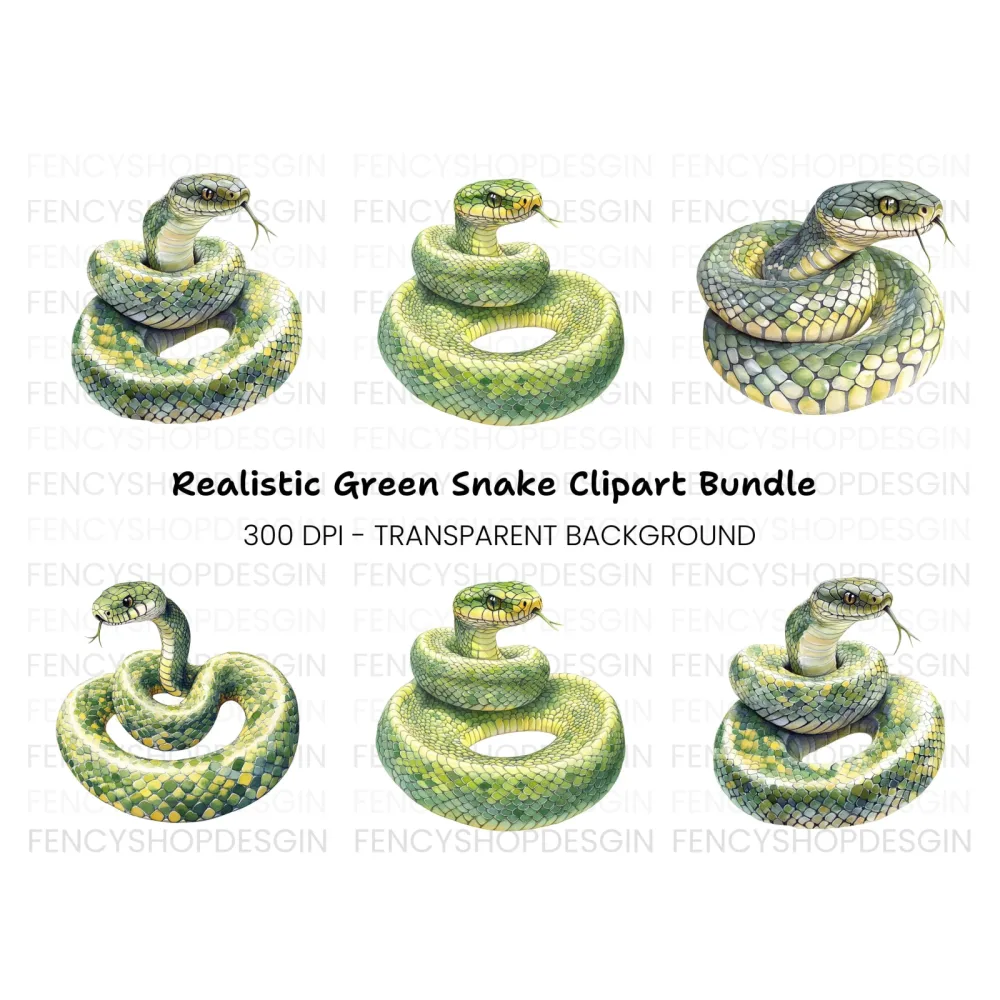Vibrant Green Snake Clipart Bundle