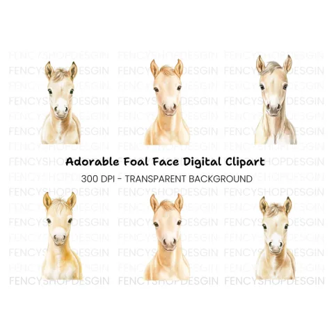 Adorable Palomino Foal Clipart Bundle