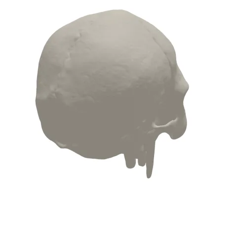 Skull 3D Print STL File