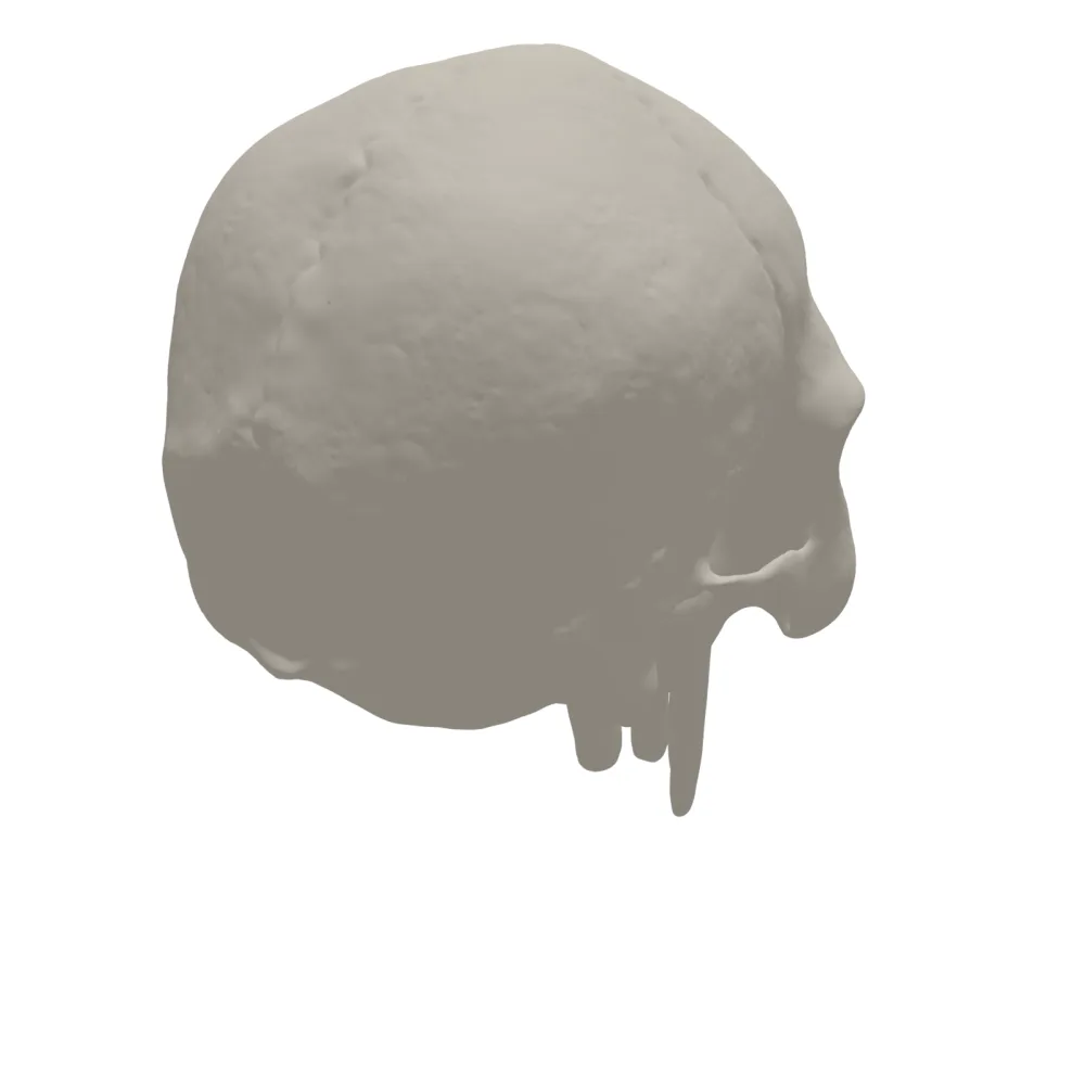 Skull 3D Print STL File