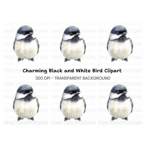 Cute Chickadee Bird Clipart Bundle
